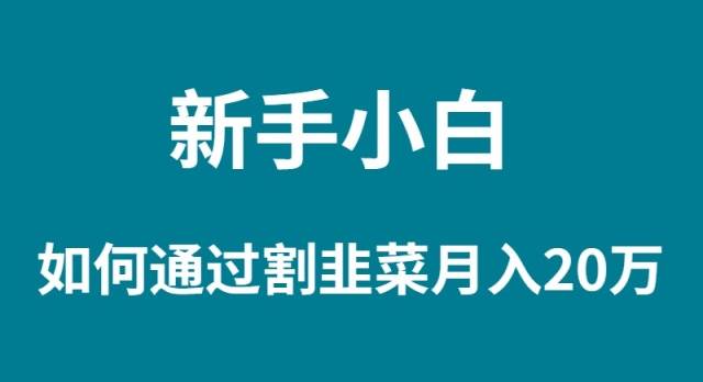 新手小白如何通过割韭菜月入 20W-金九副业网