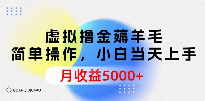 虚拟撸金薅羊毛，简单操作，小白当天上手，月收益5000+-金九副业网