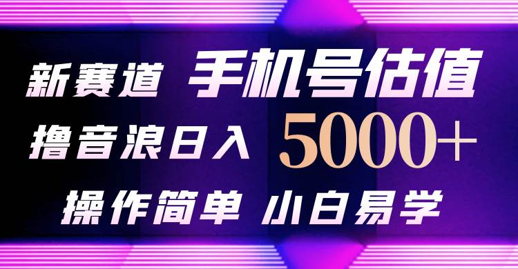 抖音不出境直播【手机号估值】最新撸音浪，日入5000+，简单易学，适合…-金九副业网