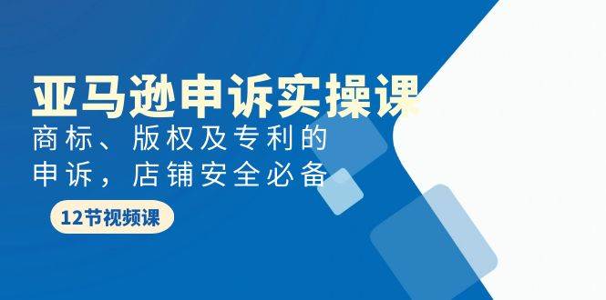 亚马逊-申诉实战课，商标、版权及专利的申诉，店铺安全必备-金九副业网