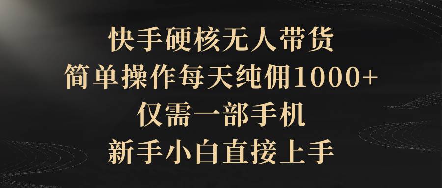 快手硬核无人带货，简单操作每天纯佣1000+,仅需一部手机，新手小白直接上手-金九副业网