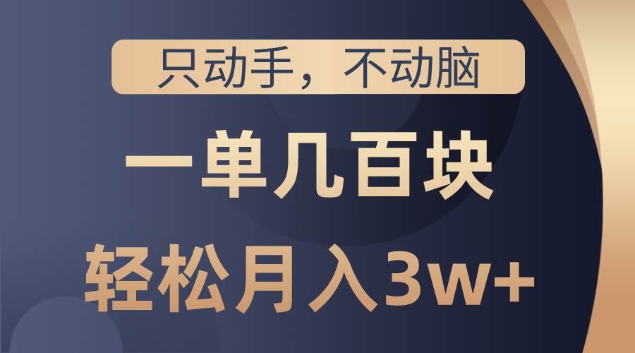 只动手不动脑，一单几百块，轻松月入3w+，看完就能直接操作，详细教程-金九副业网