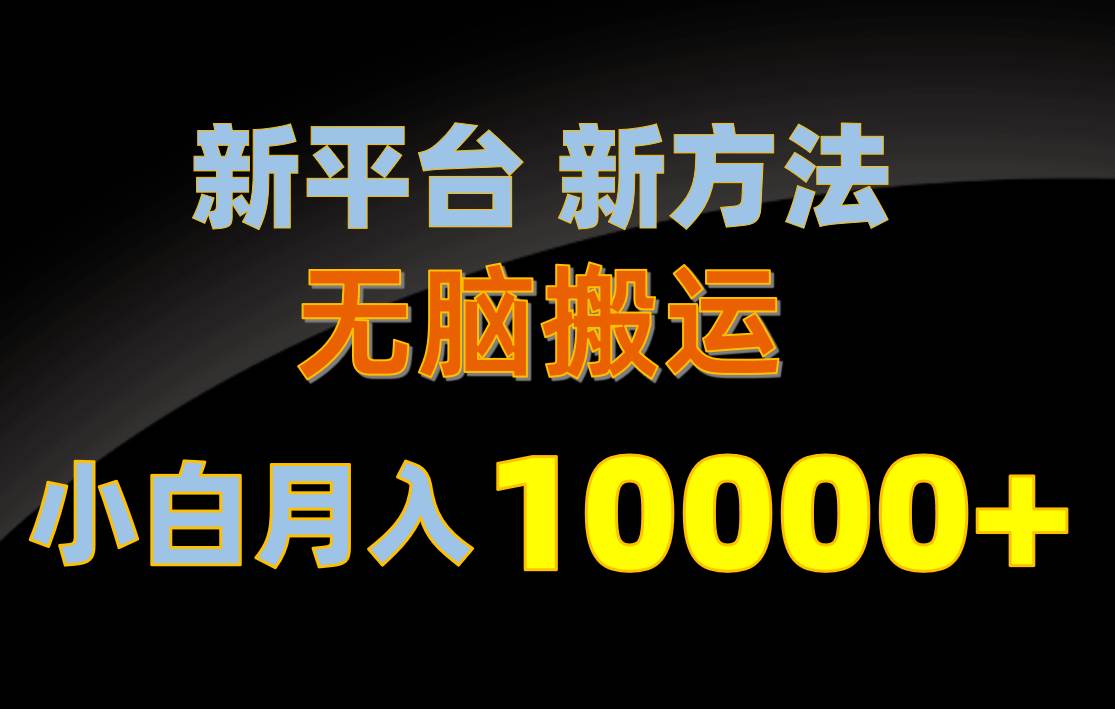 新平台新方法，无脑搬运，月赚10000+，小白轻松上手不动脑-金九副业网