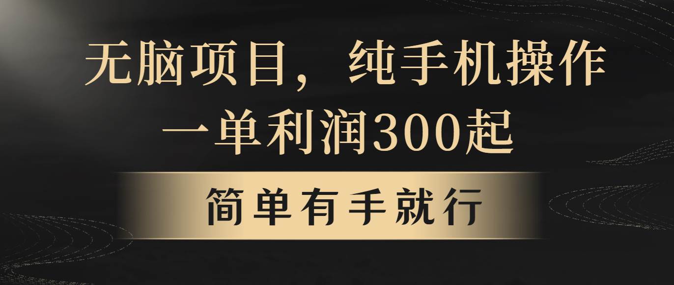 无脑项目，一单几百块，轻松月入5w+，看完就能直接操作-金九副业网