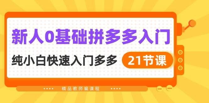 新人0基础拼多多入门，纯小白快速入门多多（21节课）-金九副业网