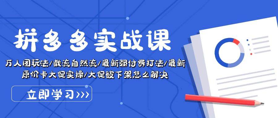 拼多多·实战课：万人团玩法/截流自然流/最新强付费打法/最新原价卡大促..-金九副业网