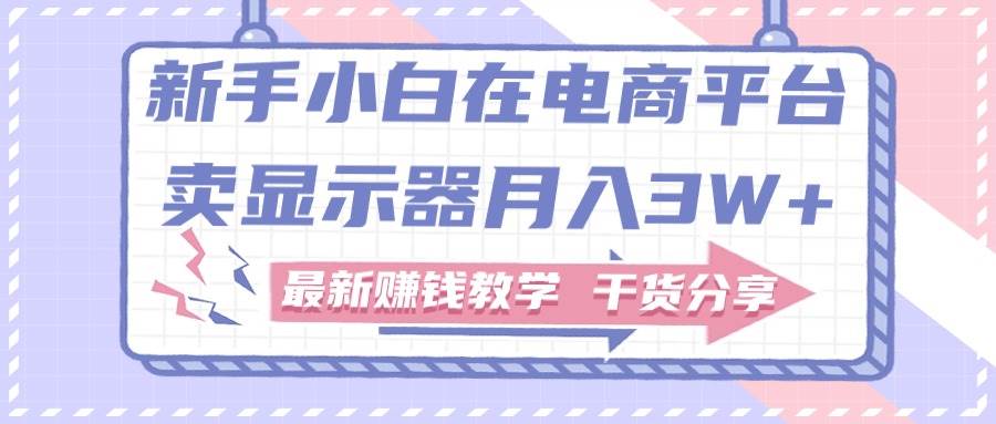 新手小白如何做到在电商平台卖显示器月入3W+，最新赚钱教学干货分享-金九副业网