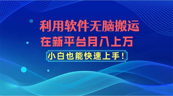 利用软件无脑搬运，在新平台月入上万，小白也能快速上手-金九副业网