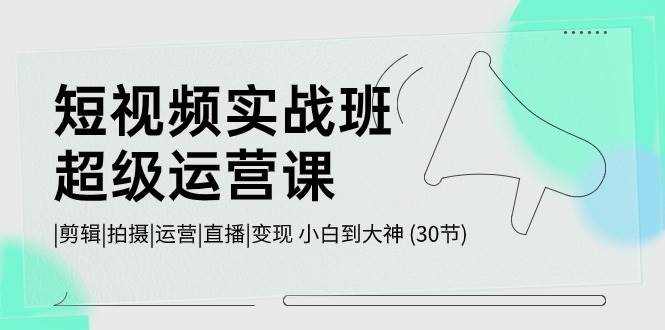 短视频实战班-超级运营课，|剪辑|拍摄|运营|直播|变现 小白到大神 (30节)-金九副业网