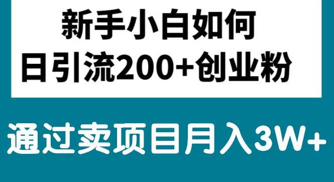 新手小白日引流200+创业粉,通过卖项目月入3W+-金九副业网