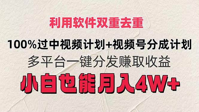 利用软件双重去重，100%过中视频+视频号分成计划小白也可以月入4W+-金九副业网