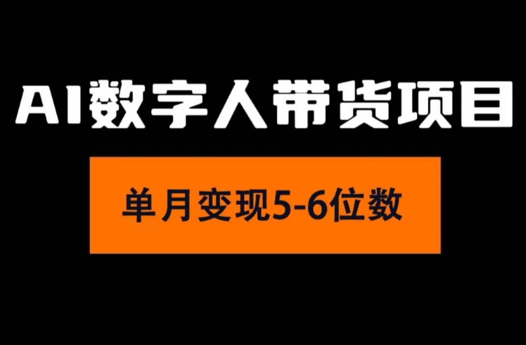 2024年Ai数字人带货，小白就可以轻松上手，真正实现月入过万的项目-金九副业网