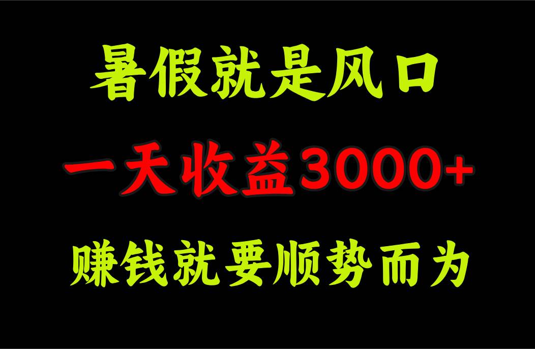 一天收益3000+ 赚钱就是顺势而为，暑假就是风口-金九副业网