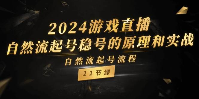 2024游戏直播-自然流起号稳号的原理和实战，自然流起号流程（11节）-金九副业网