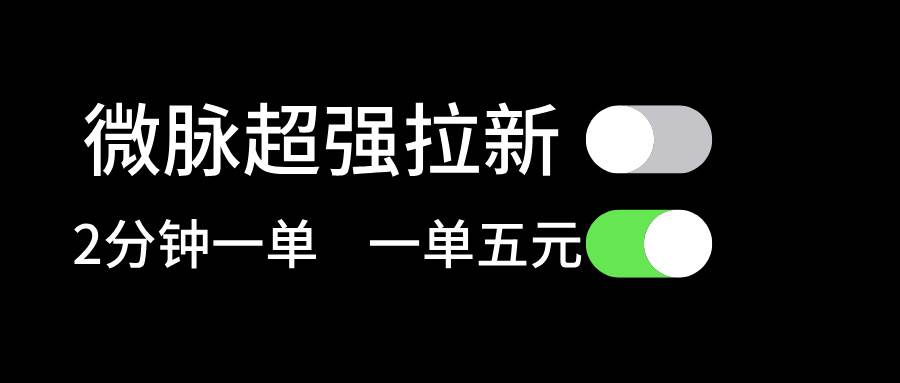 微脉超强拉新， 两分钟1单， 一单利润5块，适合小白-金九副业网