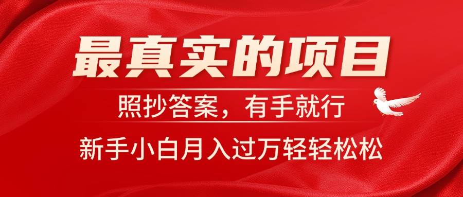 最真实的项目，照抄答案，有手就行，新手小白月入过万轻轻松松-金九副业网