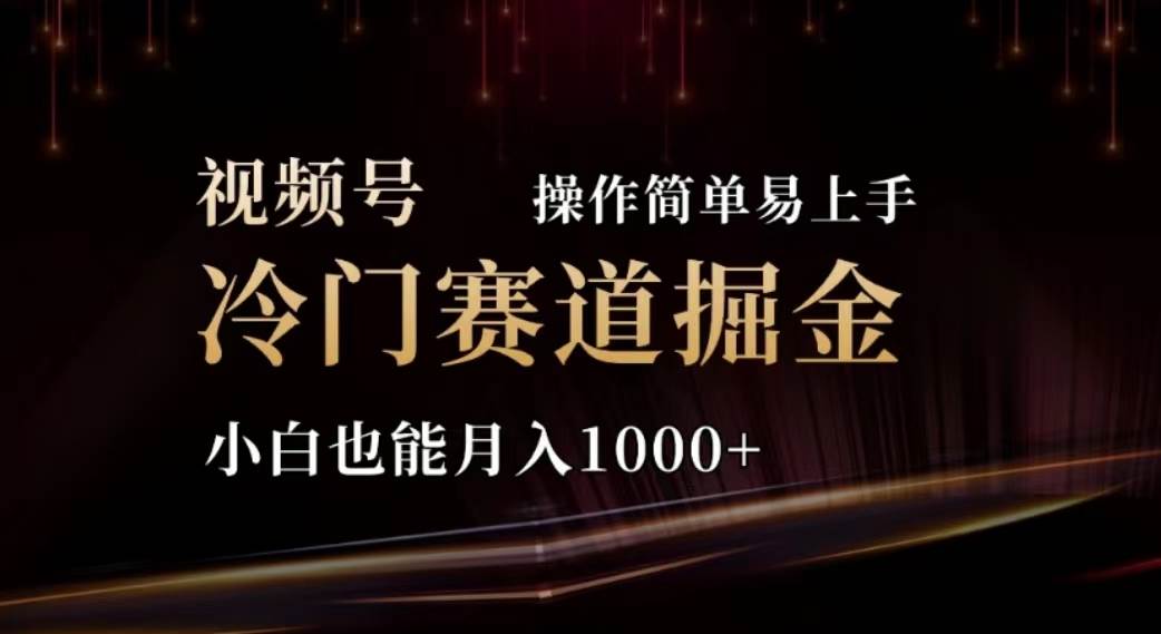 2024视频号冷门赛道掘金，操作简单轻松上手，小白也能月入1000+-金九副业网