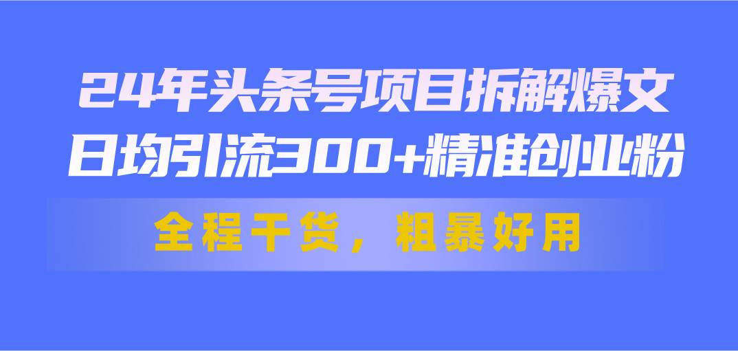 24年头条号项目拆解爆文，日均引流300+精准创业粉，全程干货，粗暴好用-金九副业网