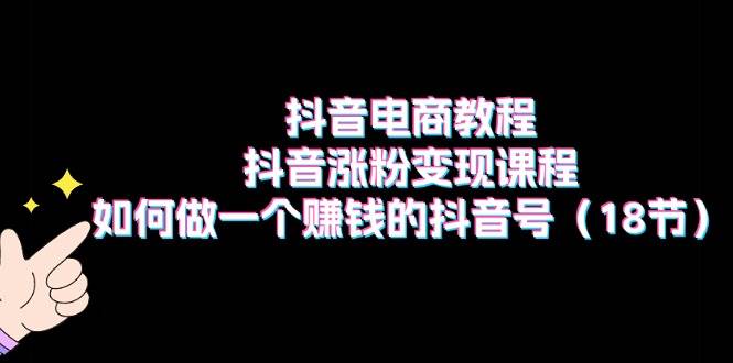 抖音电商教程：抖音涨粉变现课程：如何做一个赚钱的抖音号（18节）-金九副业网