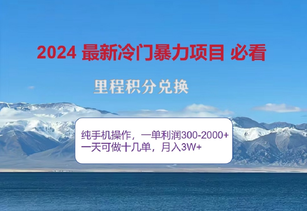 2024惊爆冷门暴利！出行高峰来袭，里程积分，高爆发期，一单300+—2000+，月入过万不是梦！-金九副业网