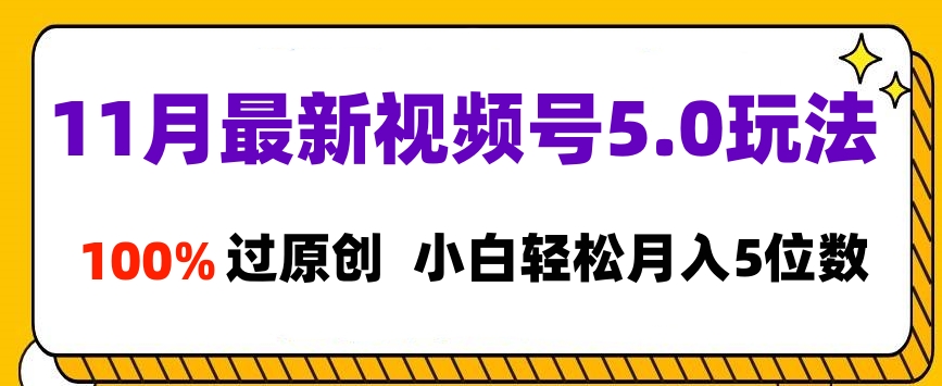 11月最新视频号5.0玩法，100%过原创，小白轻松月入5位数-金九副业网