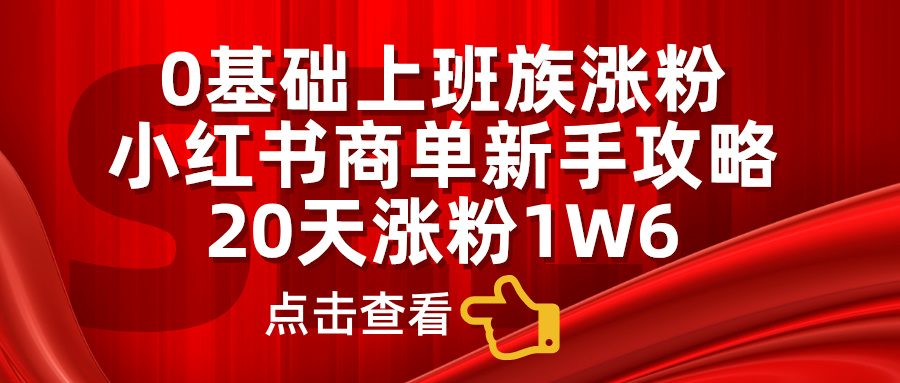 小红书商单新手攻略，20天涨粉1.6w，0基础上班族涨粉-金九副业网