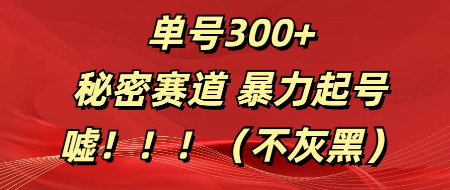 单号300+  秘密赛道 暴力起号  （不灰黑）-金九副业网