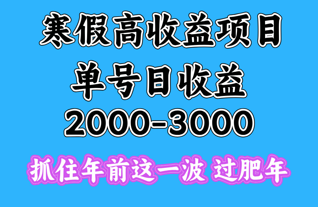 寒假期间一天收益2000-3000+，抓住年前这一波-金九副业网