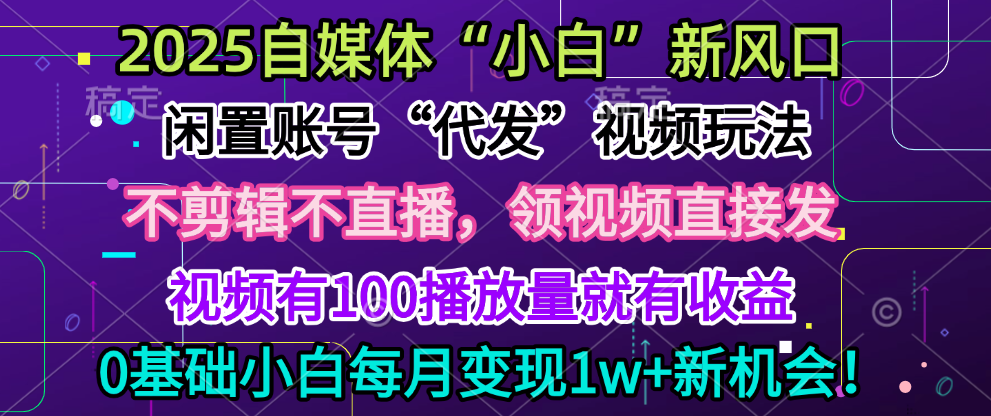 2025每月躺赚5w+新机会，闲置视频账号一键代发玩法，0粉不实名不剪辑，领了视频直接发，0基础小白也能日入300+-金九副业网