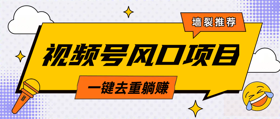 视频号风口蓝海项目，中老年人的流量密码，简单无脑，一键去重，轻松月入过万-金九副业网