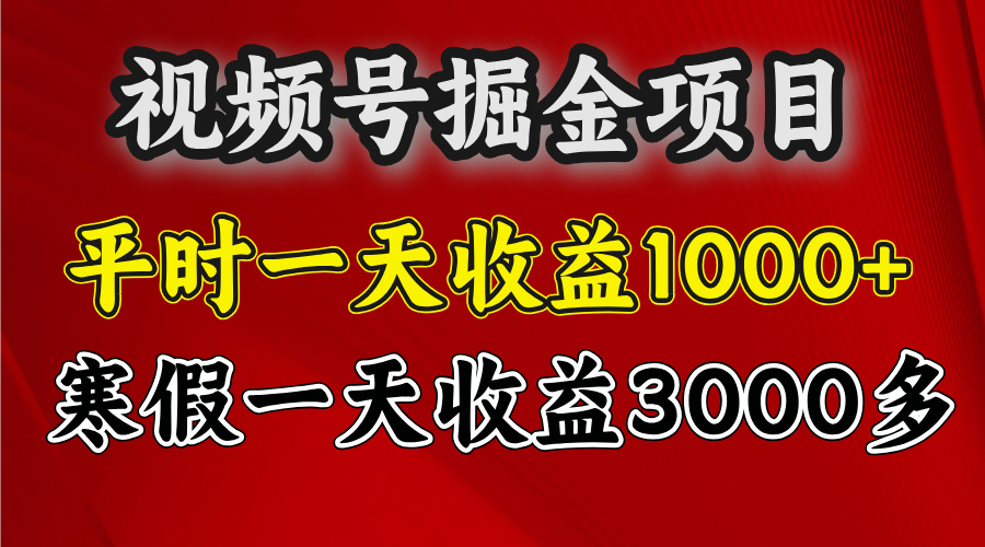 视频号掘金项目，寒假一天收益3000多-金九副业网