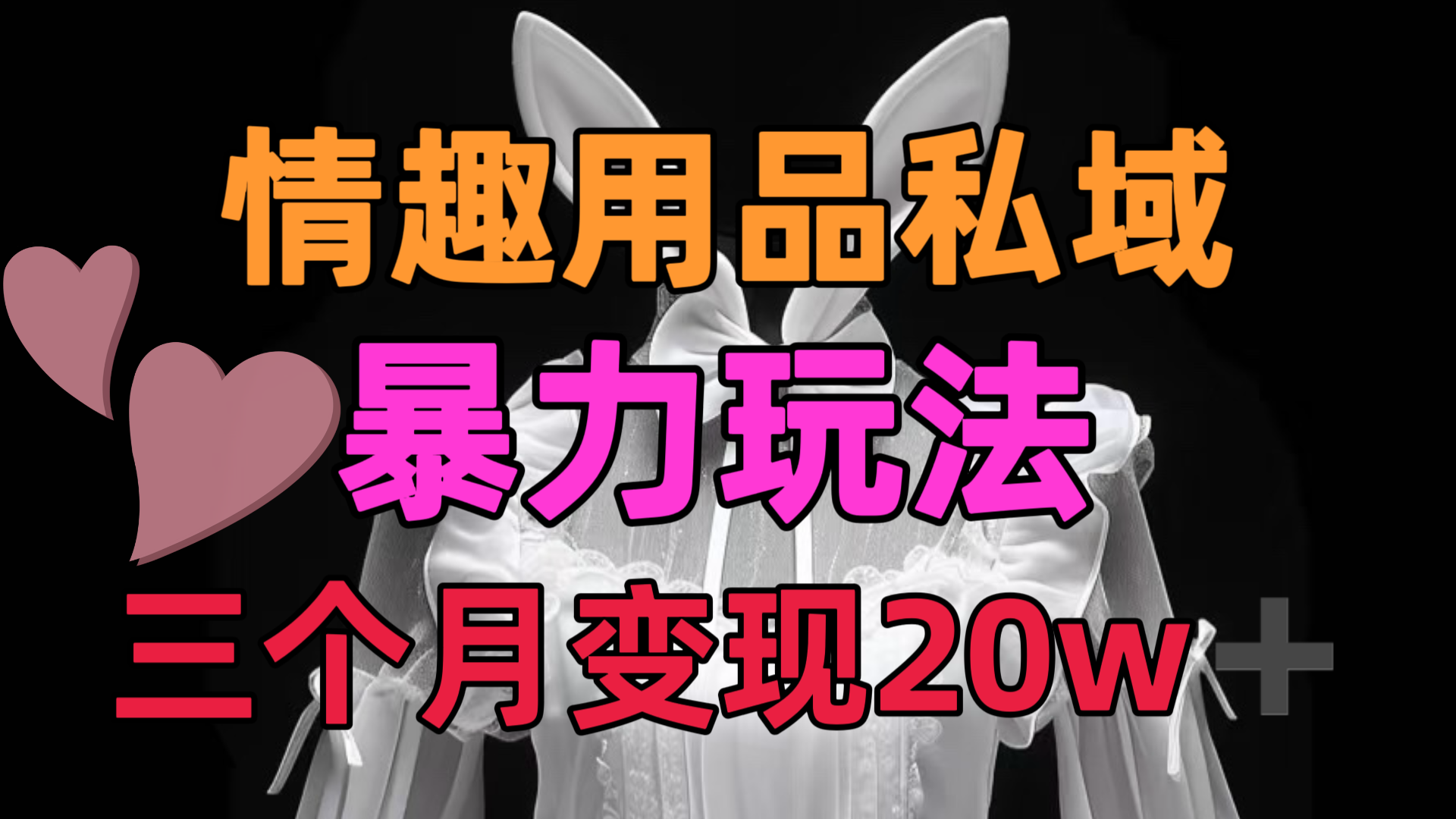 情趣用品私域，25年最新暴力玩法，三个月变现20w➕-金九副业网