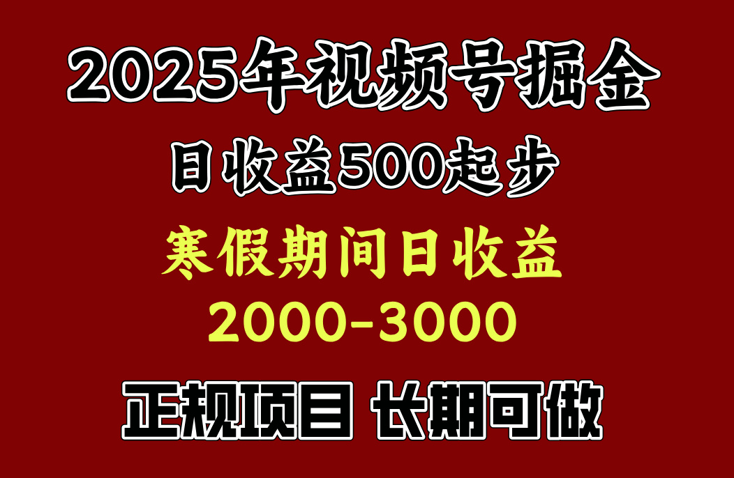 寒假期间一天收益2000+，小白一天就能上手-金九副业网