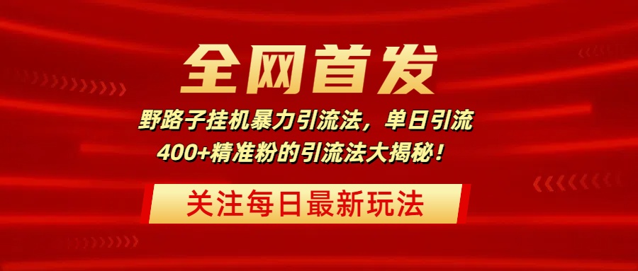 全网首发，野路子挂机暴力引流法，单日引流400+精准粉的引流法大揭秘！-金九副业网