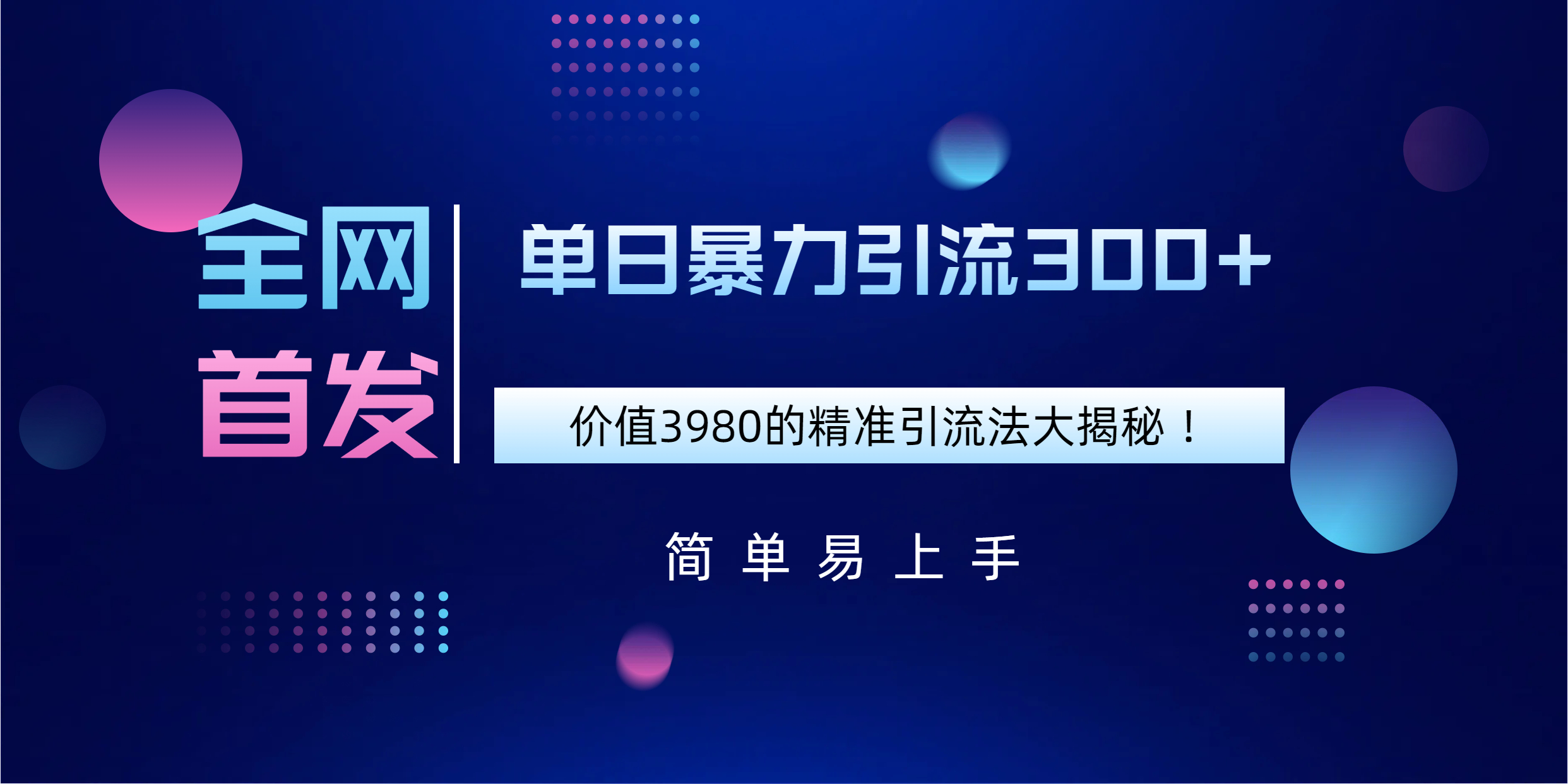 全网首发，价值3980单日暴力引流300+的精准引流法大揭秘！-金九副业网