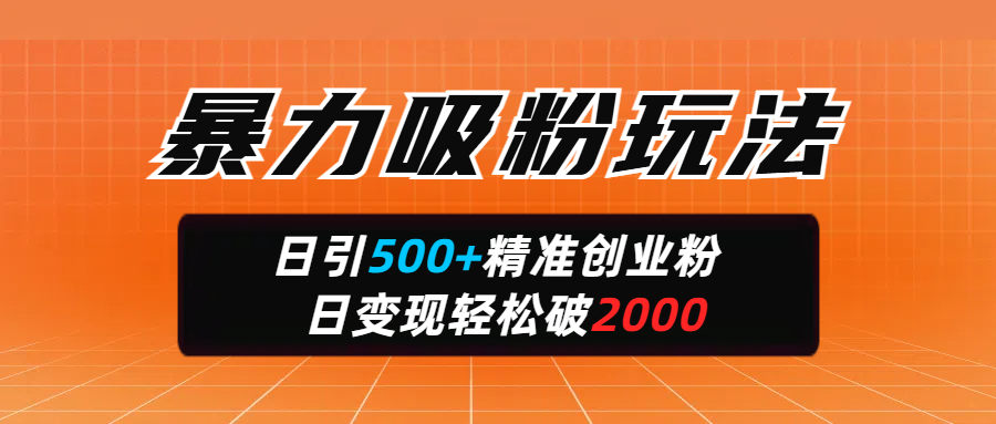 暴力吸粉玩法，日引500+精准创业粉，日变现轻松破2000-金九副业网