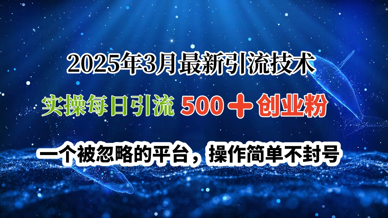 2025年3月最新引流技术，实操每日引流500➕创业粉，一个被忽略的平台，操作简单不封号-金九副业网