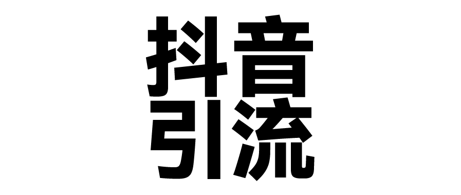 2025年抖音最新暴力引流法，只需一个视频加一段文字，简单操作，单日引300+创业粉-金九副业网